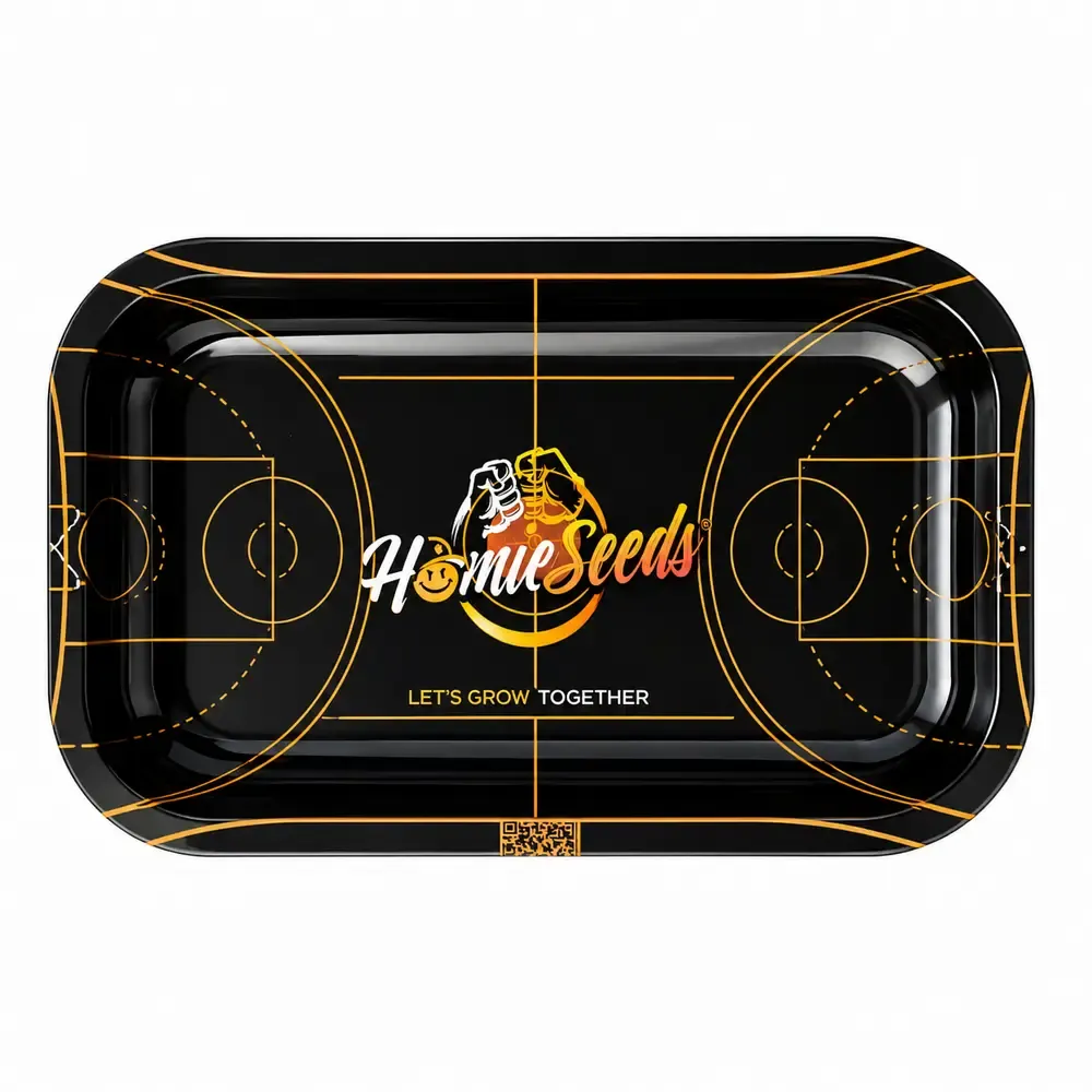 Le plateau HomieSeeds basketball court