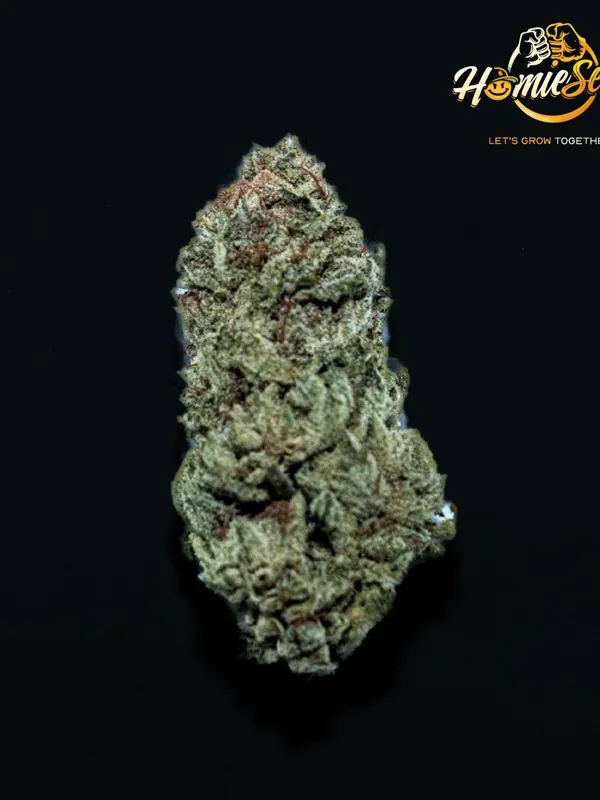 La fleur de CBD Homie G's HE+