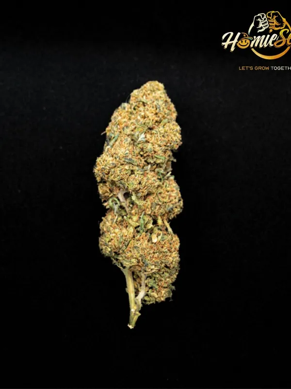 La fleur de CBD, Blue Bombe HE+