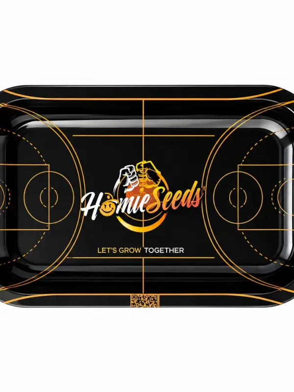 Le plateau HomieSeeds basketball court